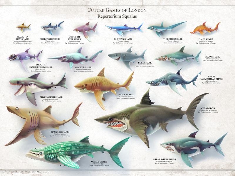Đa dạng loại cá mập trong Hungry Shark World Hack