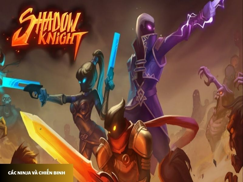 Shadow Knight Đa Dạng Các Ninja Và Chiến Binh