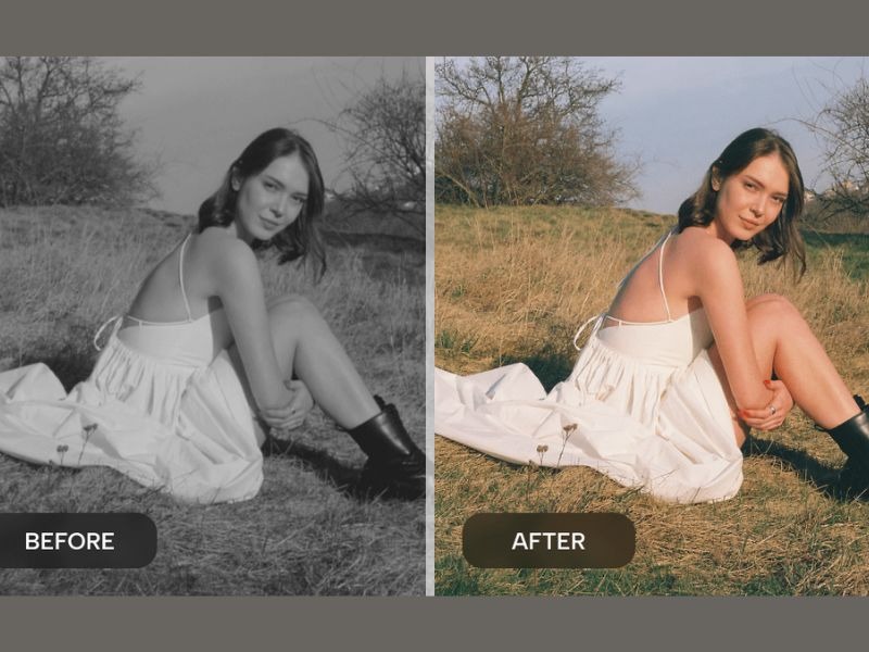 Tải Remini Theartpics Mod APK (Mở Khóa Premium) v3.9.5 Remini APK Tái Tạo Màu Sắc Sống Động Cho Ảnh Cổ Điển