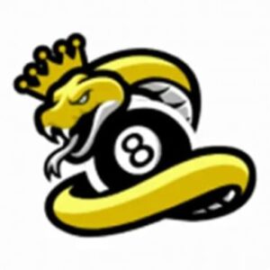 Tải Snake 8 Ball Pool Apk (Mở Khóa) v2.0.8 Mới Nhất Cho Android