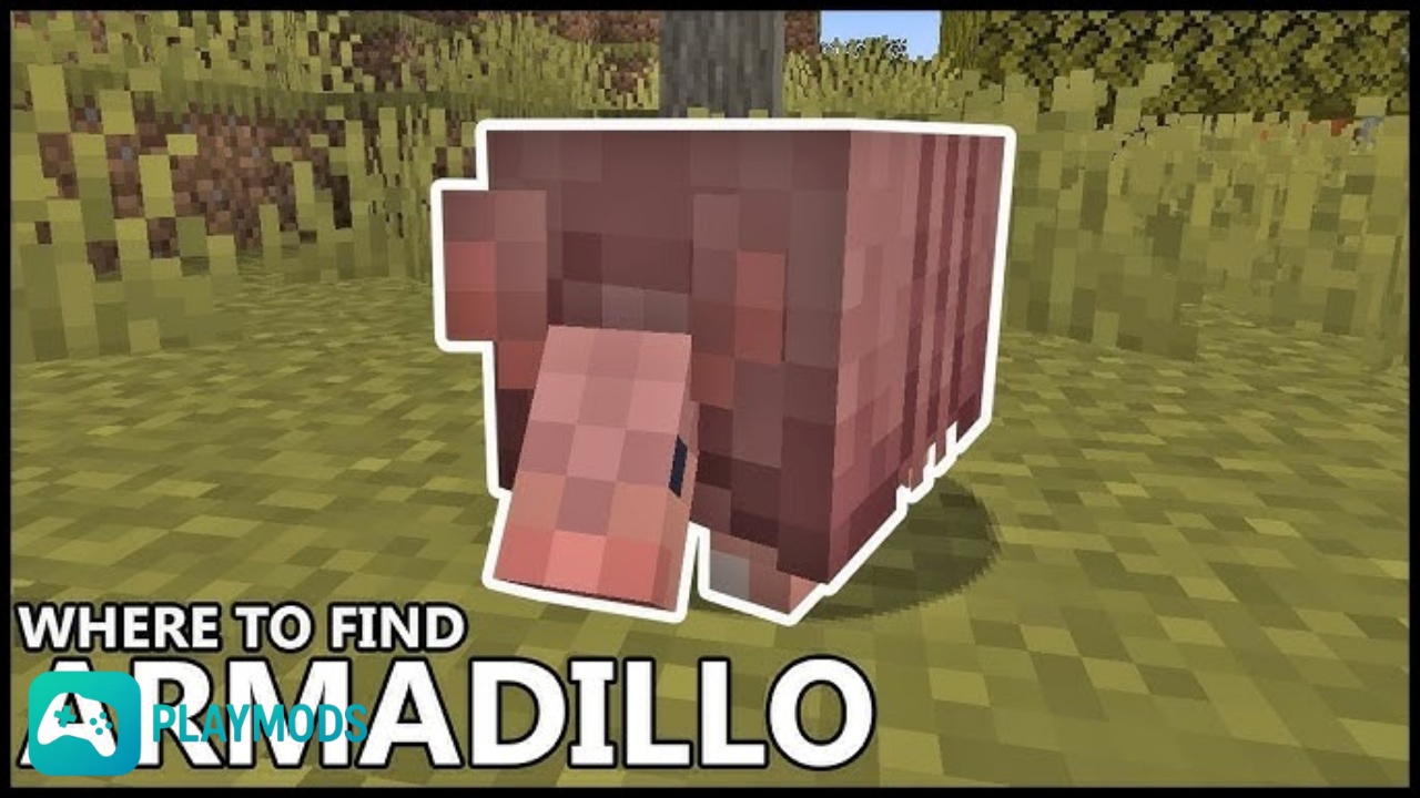 Armadillo Được Cải Tiến Hành Vi Và Cơ Chế Phòng Thủ