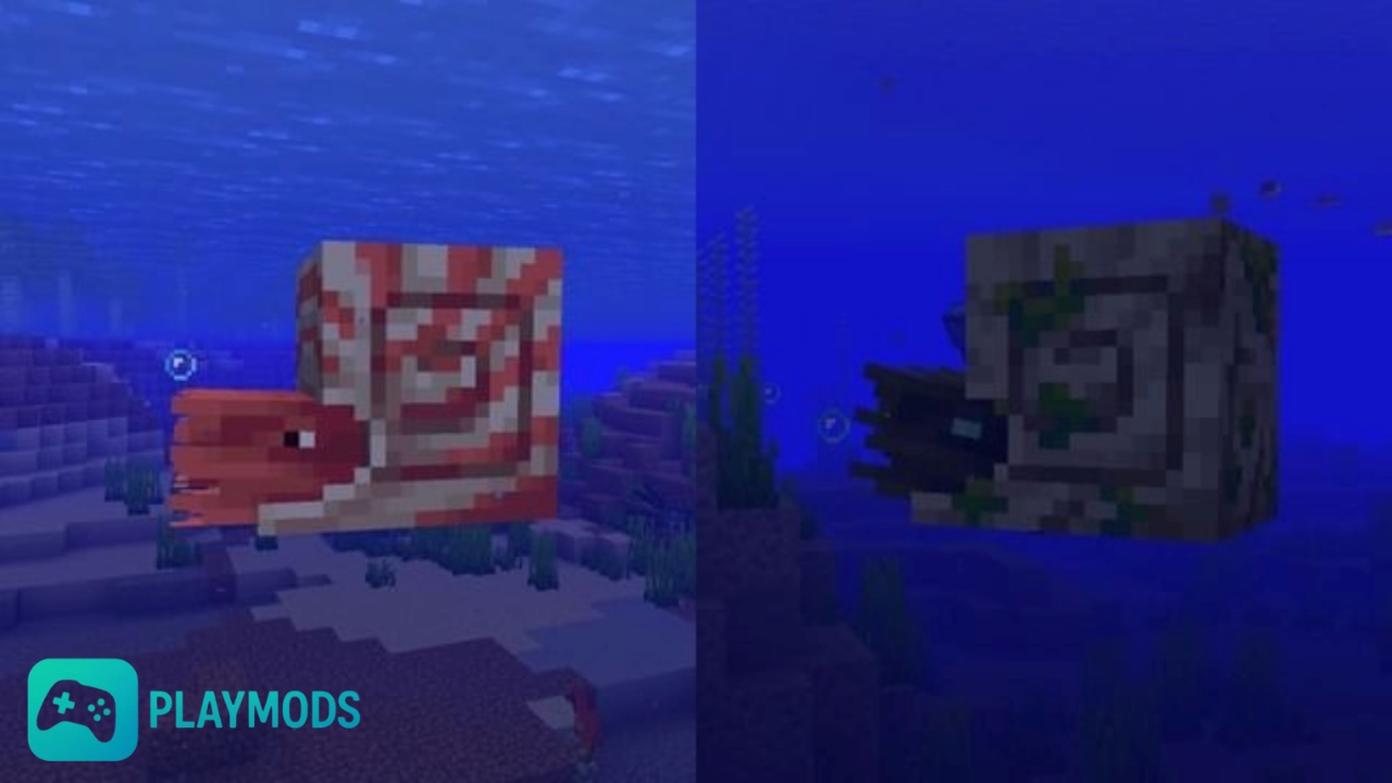 Nautilus Và Zombie Nautilus – Mở Rộng Trải Nghiệm Di Chuyển Dưới Nước