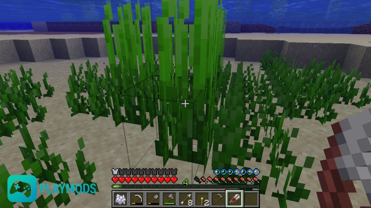 Kelp Và Seagrass Được Tối Ưu Khi Xây Dựng Và Khai Thác Dưới Nước