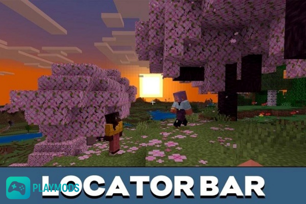 Thanh Định Vị Locator Bar Hỗ Trợ Xác Định Vị Trí Dễ Dàng