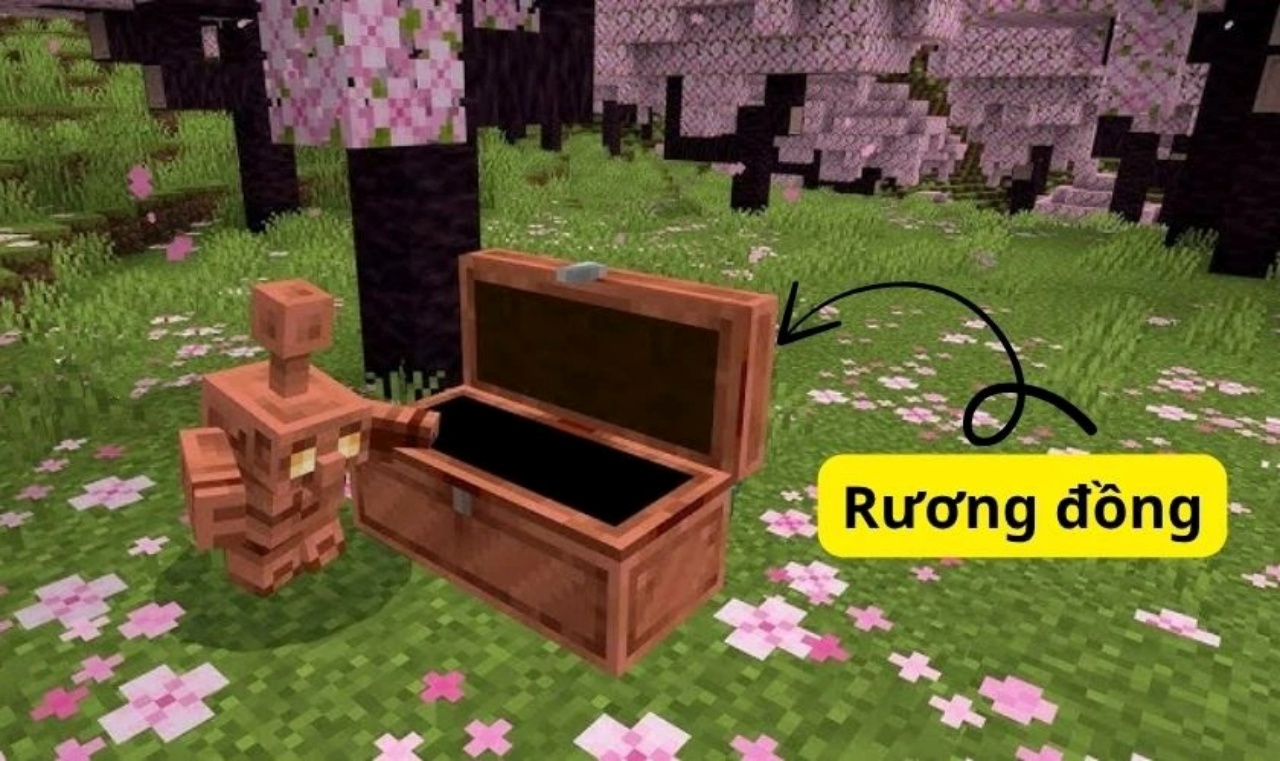 Rương Đồng - Vật Phẩm Lưu Trữ Mới Tiện Lợi