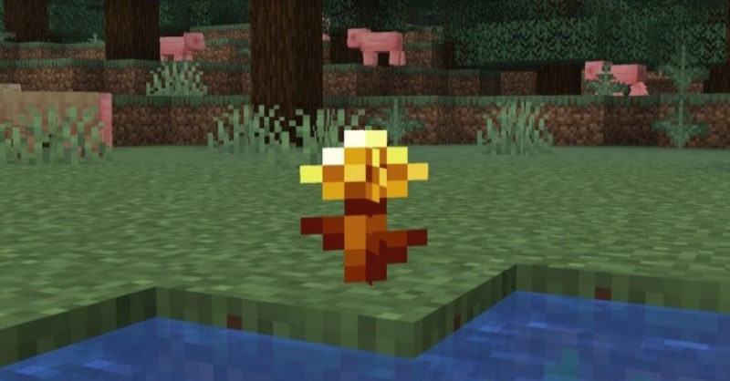 Minecraft 1.26.10